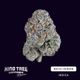 White Iverson Kind Tree White Iverson Kind Tree