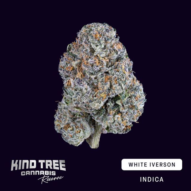 White Iverson Kind Tree White Iverson Kind Tree