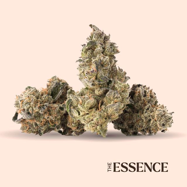 Grape Gasoline (the) Essence