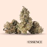 (the) Essence Grape Gasoline Whole Flower, 7g