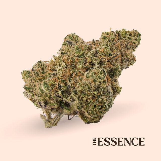 Minty Blizzard (the) Essence Minty Blizzard (the) Essence