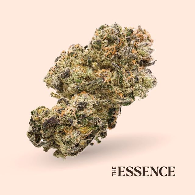 Nutcrackerz (the) Essence Nutcrackerz (the) Essence