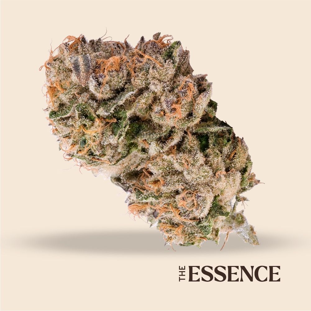 (the) Essence Purple Octane x Jealousy Flower, 3.5g