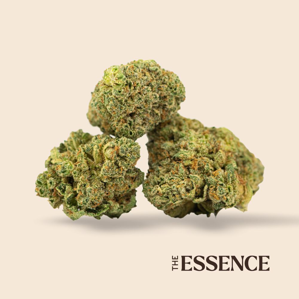 (the) Essence Yum Yum Flower, 3.5g