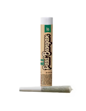 Lemon Cherry Gelato Paul Bunyan Lemon Cherry Gelato Paul Bunyan