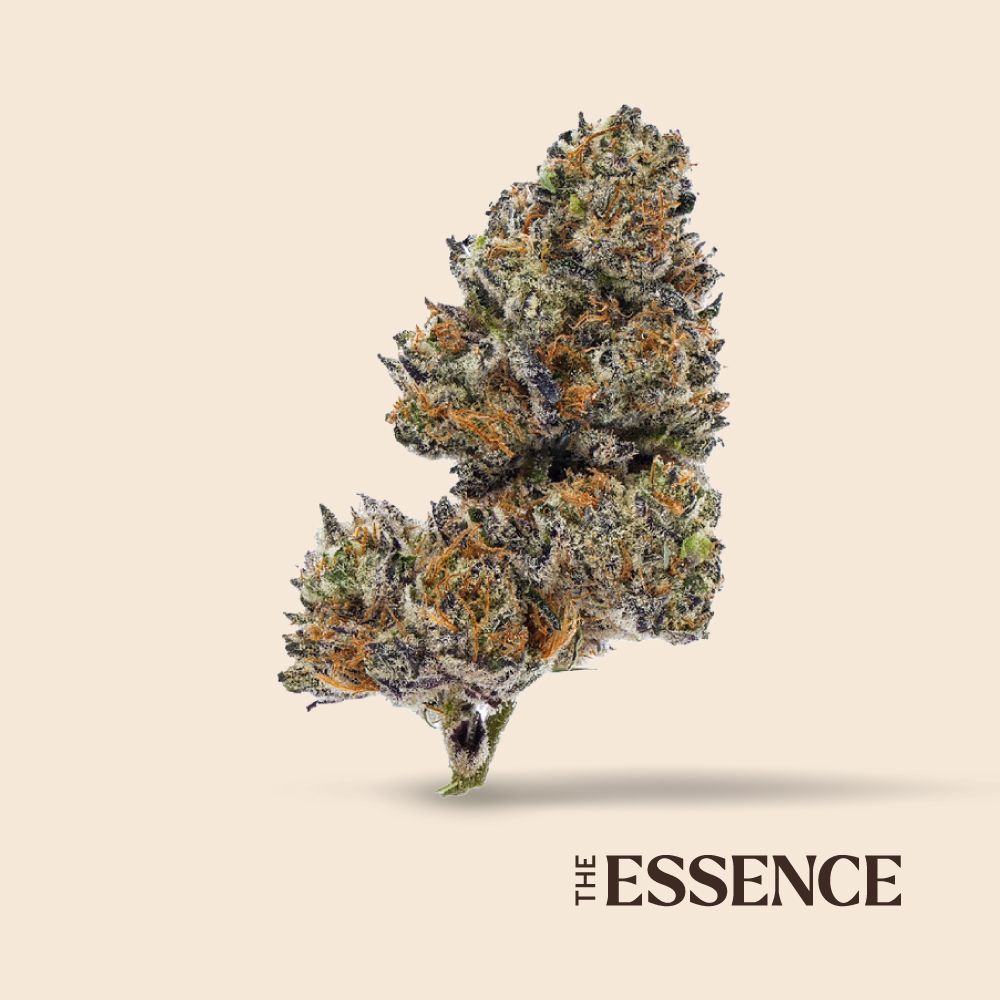 (the) Essence Tres Leches Flower, 3.5g - image 2