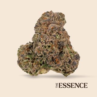 Rotten Teeth (the) Essence