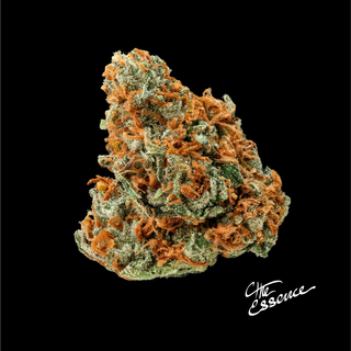 Casey Jones (the) Essence