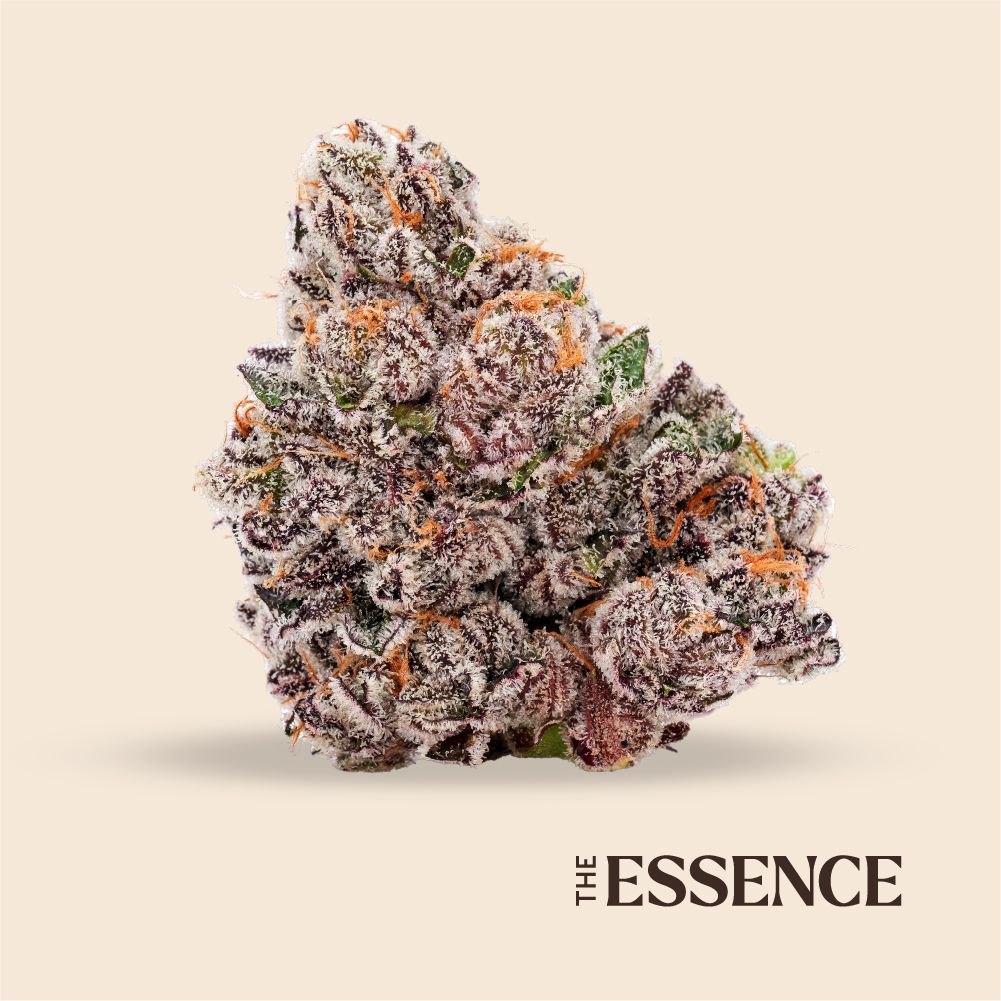 (the) Essence Glitter Bomb Flower, 3.5g