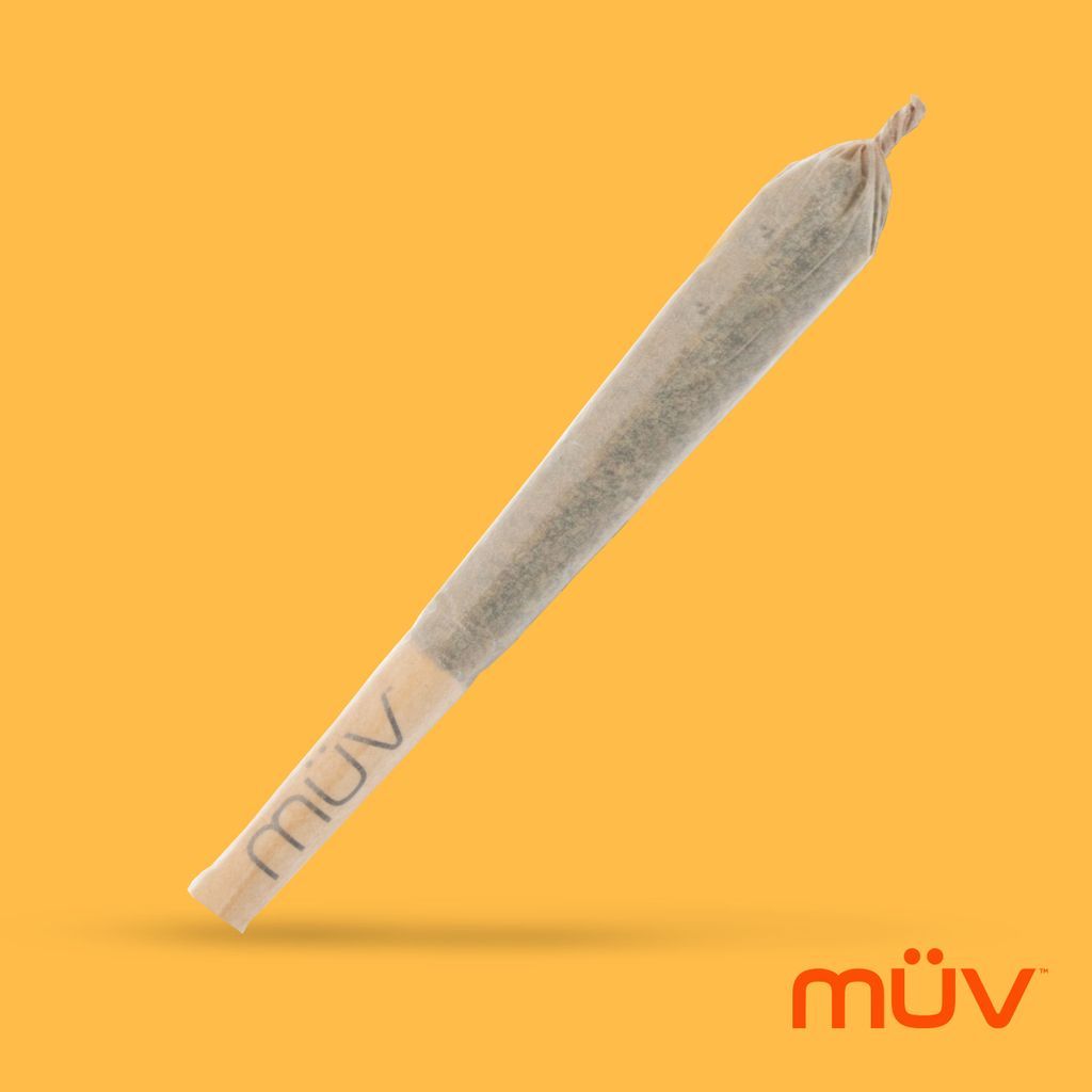 MÜV Casey Jones Single Pre-Roll, 1g, 1-Pack