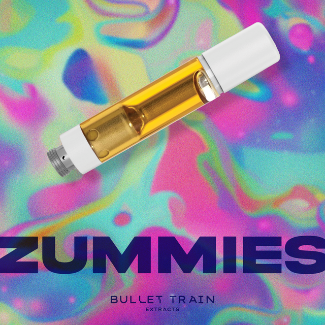 Zummies Bullet Train