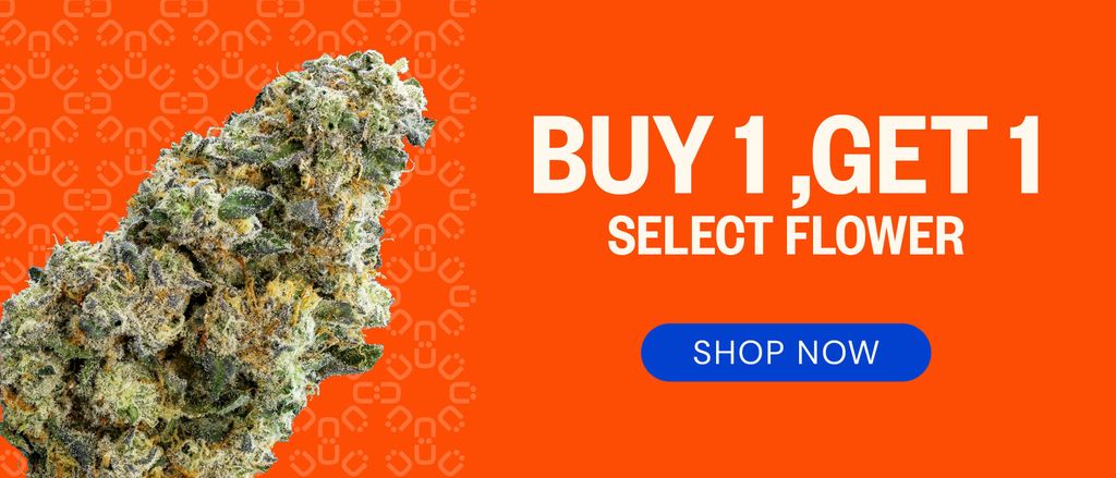 Buy One, Get One - Select Flower