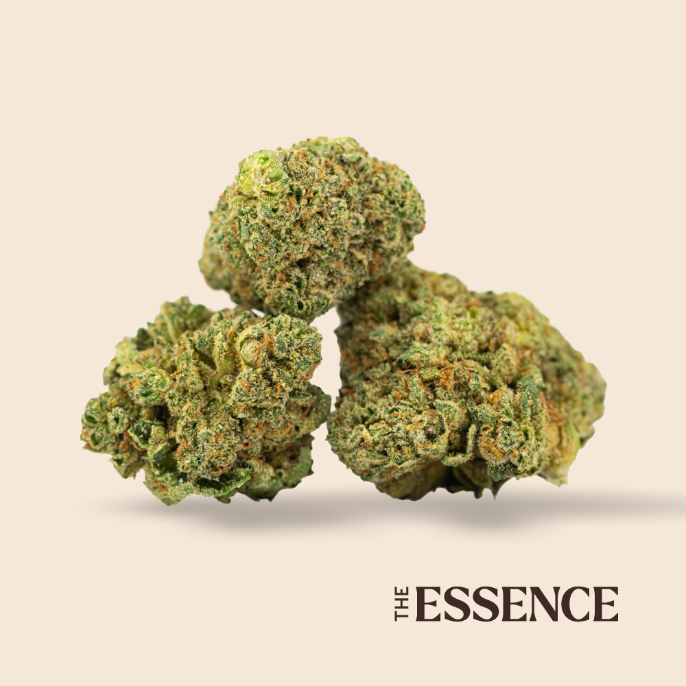 Buy Medical Flower in Clarksburg, WV | Zen Leaf