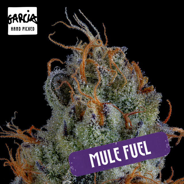 Mule Fuel Garcia Hand Picked Mule Fuel Garcia Hand Picked