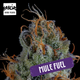 Mule Fuel Garcia Hand Picked Mule Fuel Garcia Hand Picked
