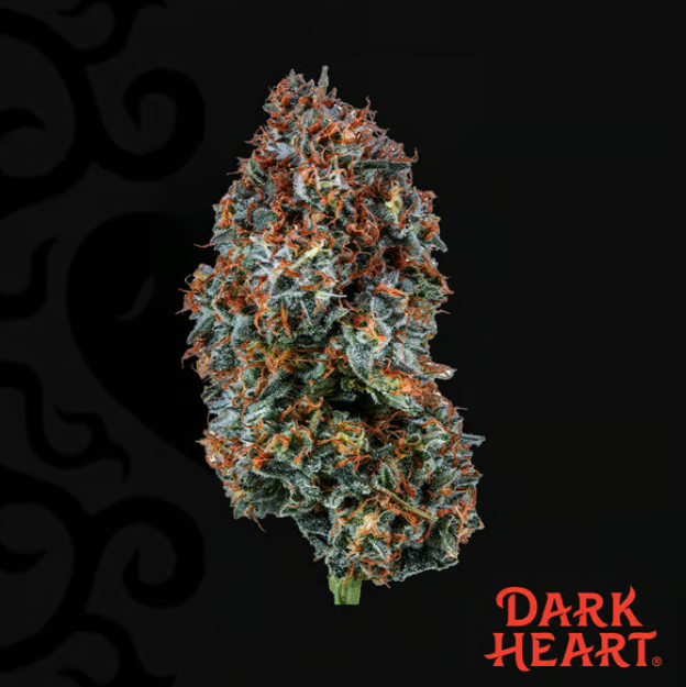 Razzle Dazzle Dark Heart