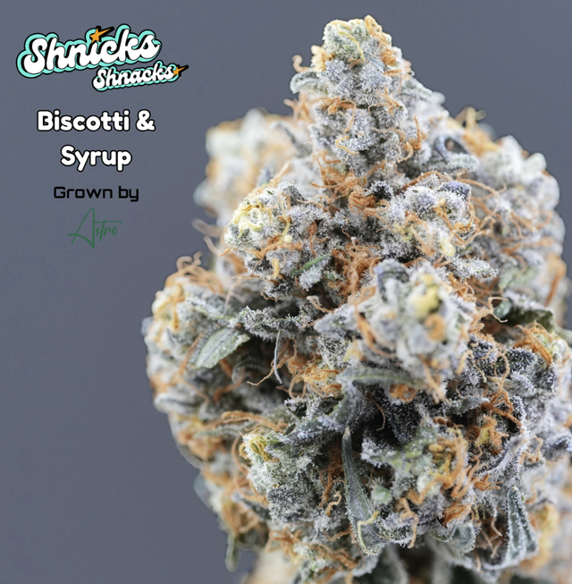 Biscotti & Syrup | 3.5g Flower Shnick's Shnacks Biscotti & Syrup | 3.5g Flower Shnick's Shnacks