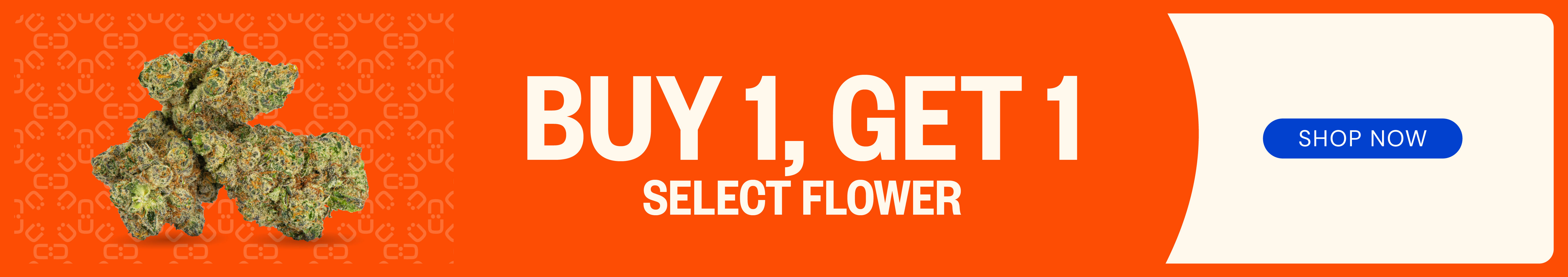 Buy One, Get One - Select Flower (by Size)