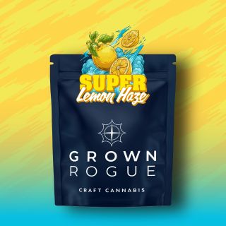 Super Lemon Haze Grown Rogue