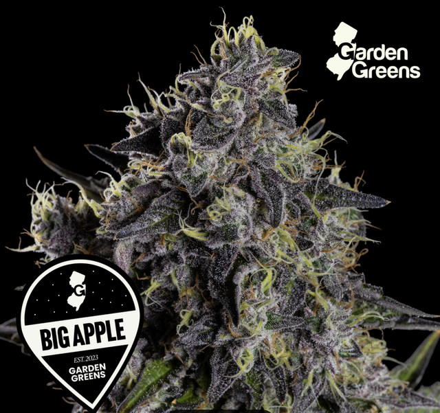 Big Apple | 3.5g Bug Buds Garden Greens Big Apple | 3.5g Bug Buds Garden Greens