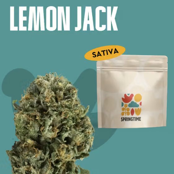 Lemon Jack Springtime Lemon Jack Springtime