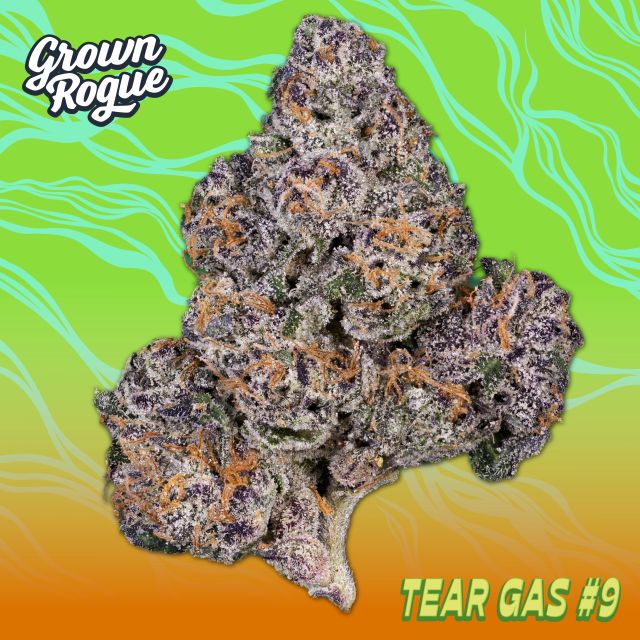 Tear Gas Grown Rogue Tear Gas Grown Rogue