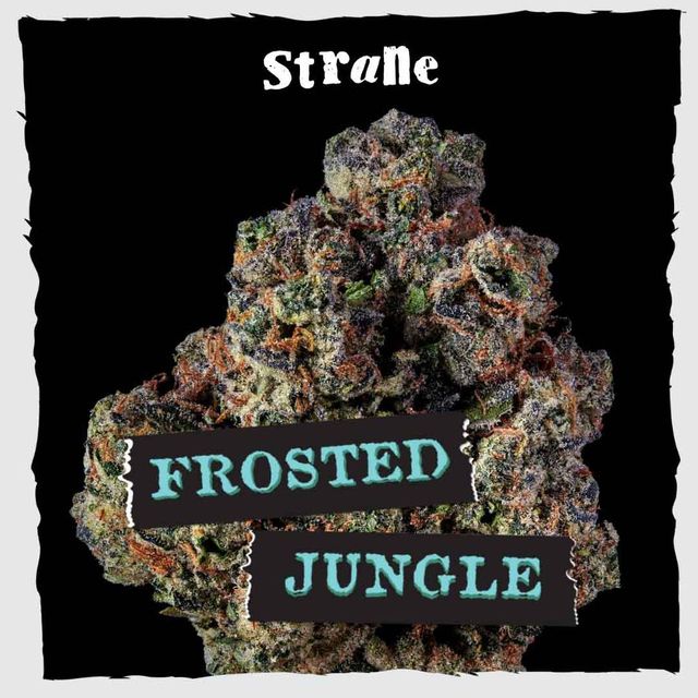 Frosted Jungle Strane Frosted Jungle Strane
