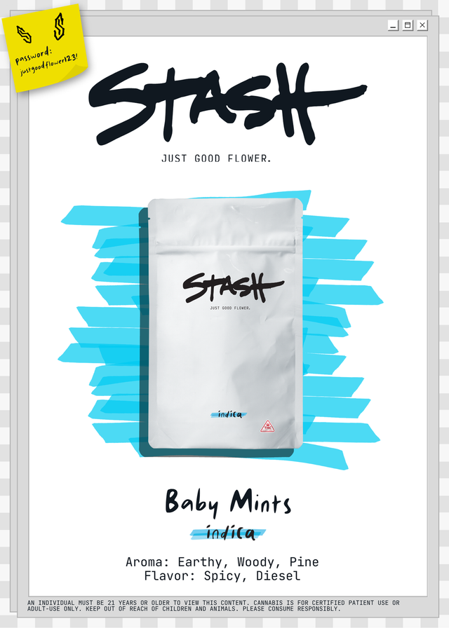 Baby Mints Stash Baby Mints Stash