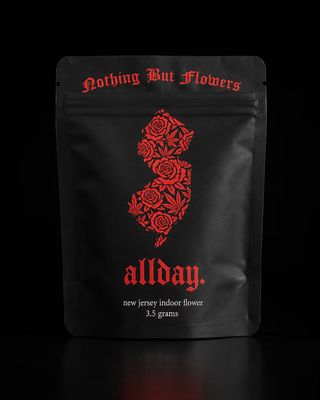 Rose Pop Allday
