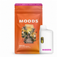 Golden Hour AIO MOODS Golden Hour AIO MOODS