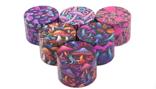 Colorful Mushroom Bisa Lina