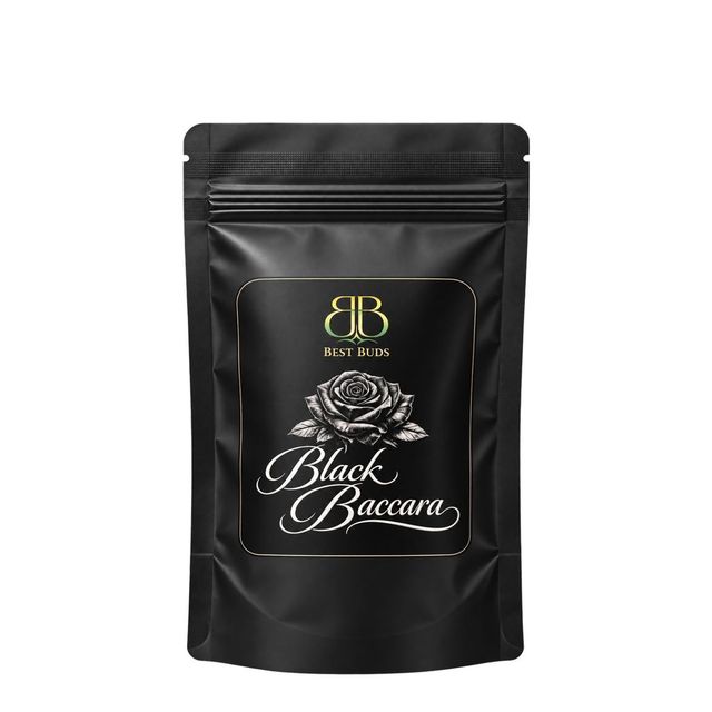 Black Baccura Best Buds