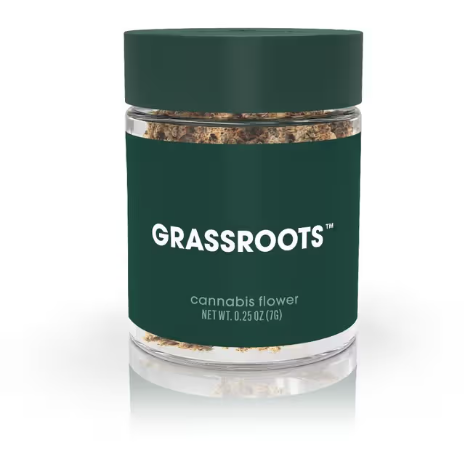 Raspberry Turnover Grassroots